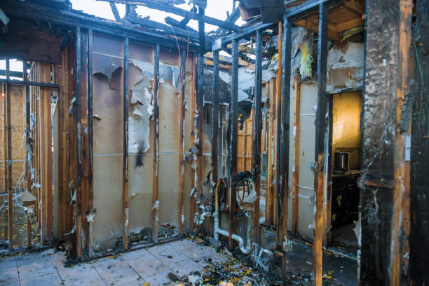 Professional Odor Removal technician working in Owensville, IN